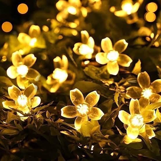 4M Flower String Lights – 20 LED Decorative Fairy Lights for Home