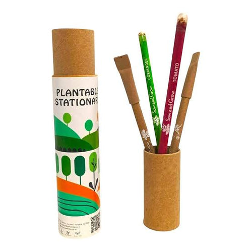 Reusable Pencil – Eco-Friendly Sustainable Writing Tool